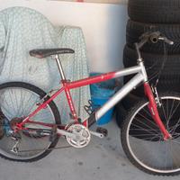 Mountain bike olmo ragazzo