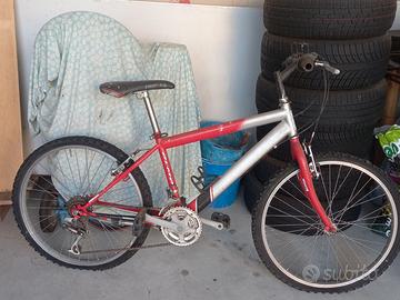 Mountain bike olmo ragazzo