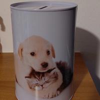 Salvadanaio Cane e Gatto.