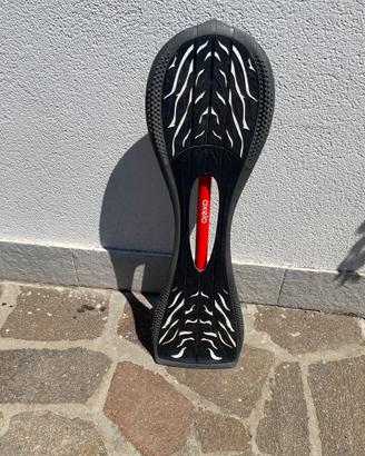 Skateboard 2 ruote
