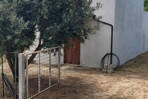 Casa con terreno a Belvedere Marittimo