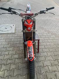 Beta rev 125 con motore  250