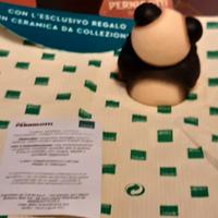 Panda thun pernigotti 2026