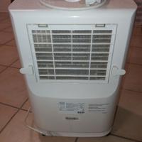 Deumidificatore  argo dry plus 21