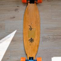 Longboard bamboo  Loaded Pintail