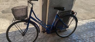 bicicletta da passeggio 