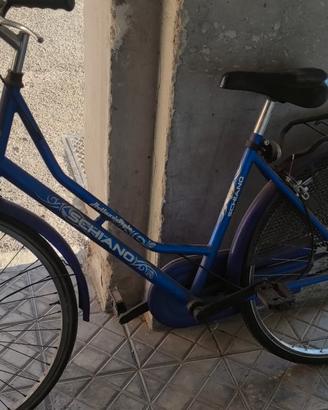 bicicletta da passeggio 