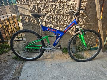 Mountain Bike