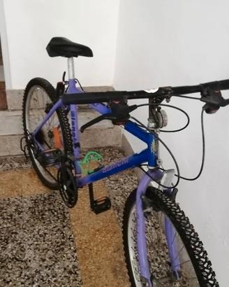 Bicicletta Bianchi Mountain bike