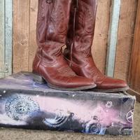 Stivali western country