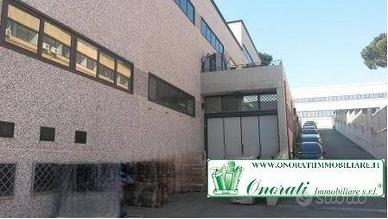 Immobile di 550 m² con 5 locali a Guidonia Montece