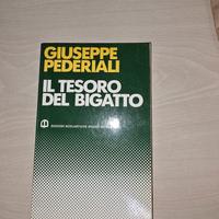 il tesoro del bigotto di Giuseppe Pederiali