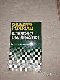 il tesoro del bigotto di Giuseppe Pederiali