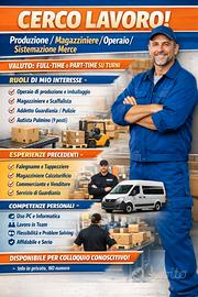 Produzione/Operaio/Magazziniere/Guardiola/Autista