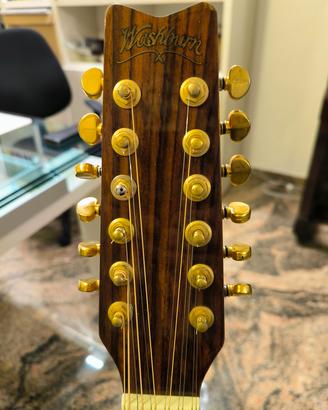 Washburn D25 S 12 vintage