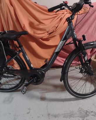 bicicletta  elettrica pedalata assistita 