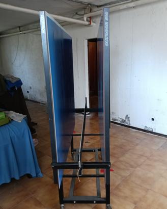 Tavolo da ping pong