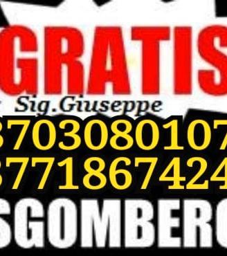 TRASLOCHI SGOMBERI Trasporti moto, MONTAGGIO MOB