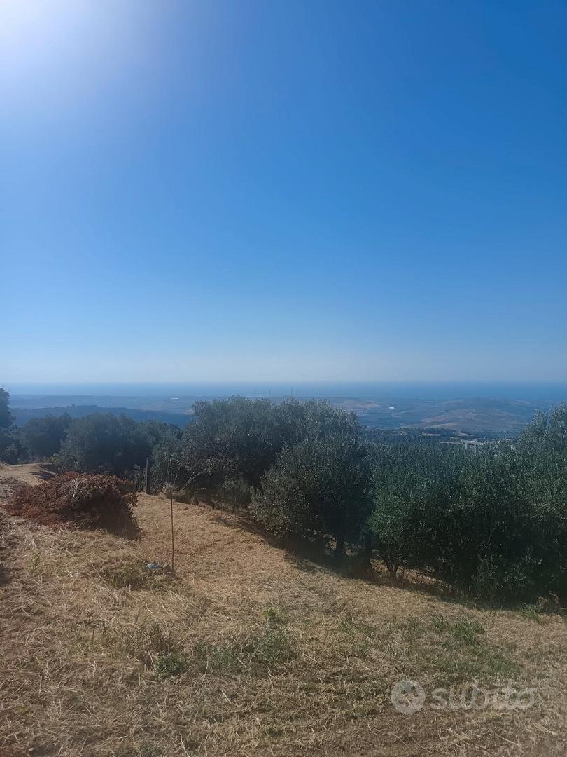 SIANO Contrada S. Domenica - Terreno agricolo - Vista 2