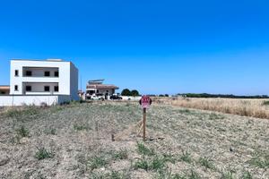 Zona stadio - Terreno EDIFICABILE MQ.569