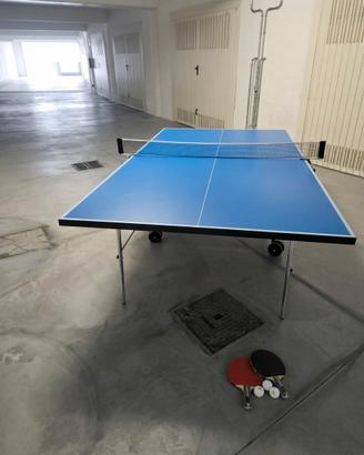 Tavolo da Ping Pong Garlando Training Indoor