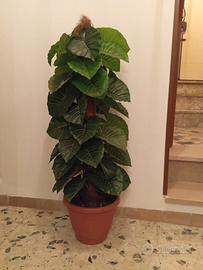 Pianta Artificiale 