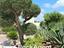 Immagine 10
