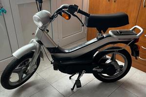 Piaggio  Grillo