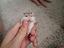 Immagine 3