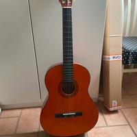 Chitarra acustica