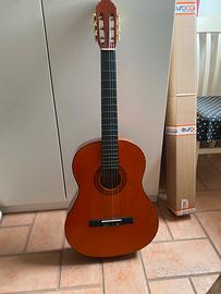 Chitarra acustica