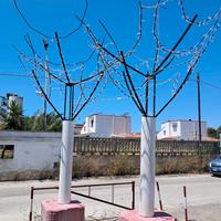 Alberi di natale da esterno