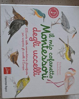 Cofanetto Montessori uccelli