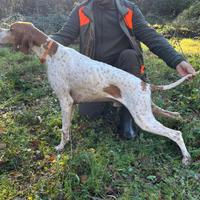 Pointer