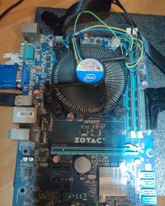 scheda madre zotac i5 
