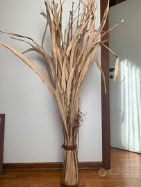 Piante da ornamento