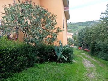 Villa splendida