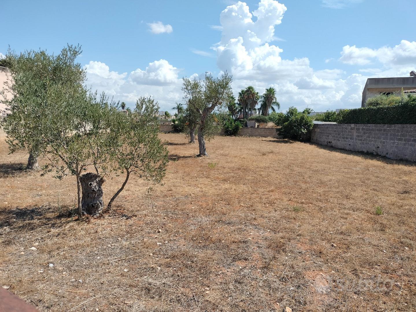 Terreno edificabile via Svizzera - Taviano (Lecce) - View 6