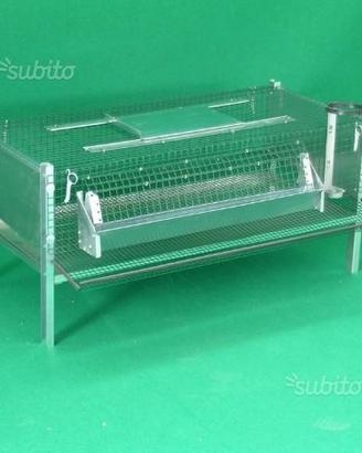 Gabbia per quaglie ovaiole
