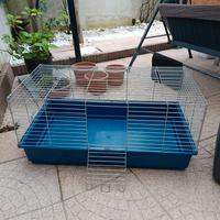 Ampia Gabbia per Porcellini d'India / Cavie - 100x