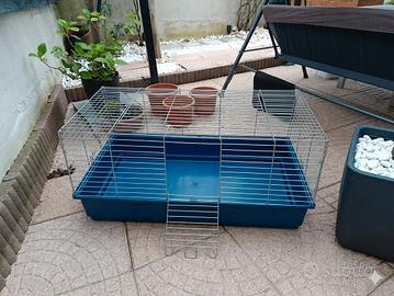 Ampia Gabbia per Porcellini d'India / Cavie - 100x