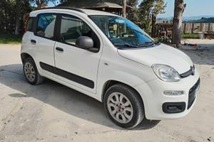 Panda Metano Permute