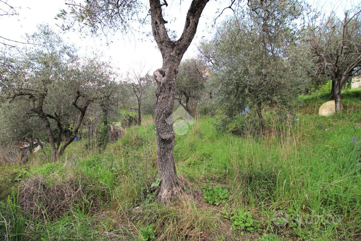 TER. AGRICOLO A LEIVI - Altro