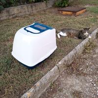 Porta lettiera chiuso per gatto