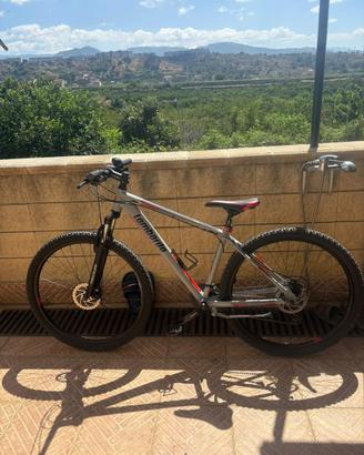 Bici Lombardo