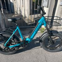Bicicletta elettrica