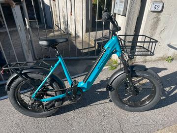 Bicicletta elettrica