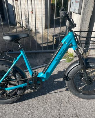 Bicicletta elettrica