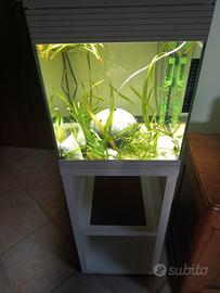 askoll pure m led44
