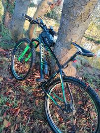 MTB  Torpado Icaro 